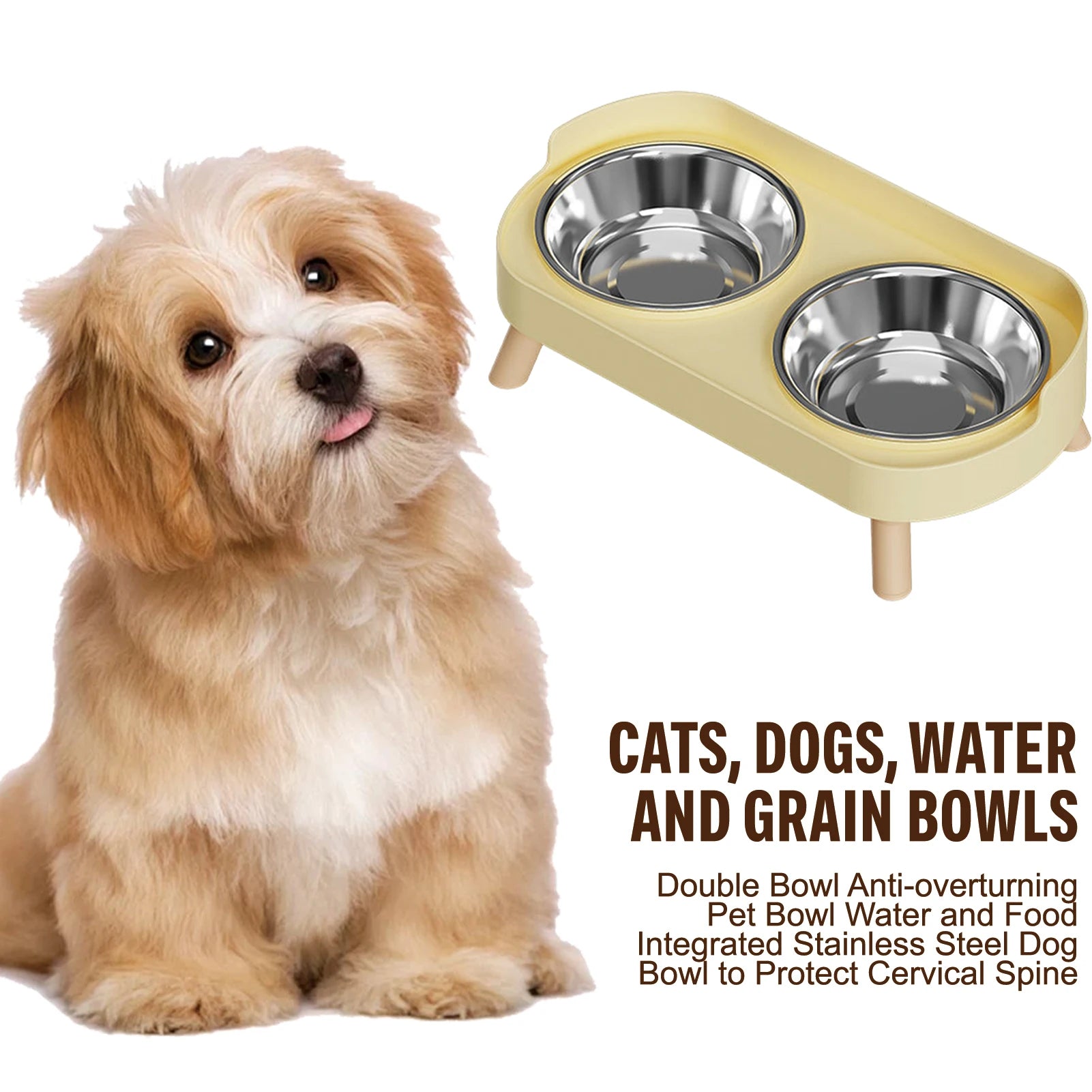 Elevated Stainless Steel Double Pet Bowl with Non-Slip Base
